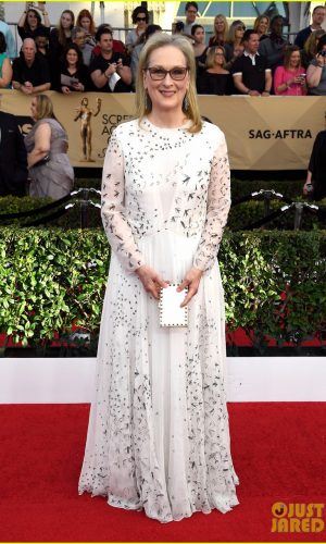 SAG Awards 2017, Screen Actors Guild Awards, moda, celebridades, hollywood, bem vestidas, tapete vermelho, gowns, fashion, best dressed, red carpet, meryl streep