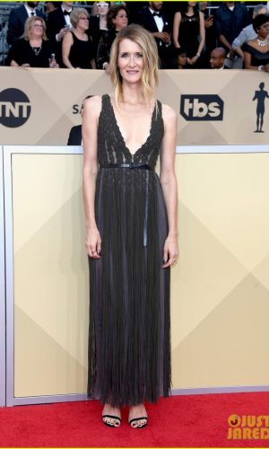 sag awards 2018, premiação, celebridades, moda, estilo, looks, vestido longo, tapete vermelho, award season, red carpet, celebrities, fashion, style, gown, lauren dern