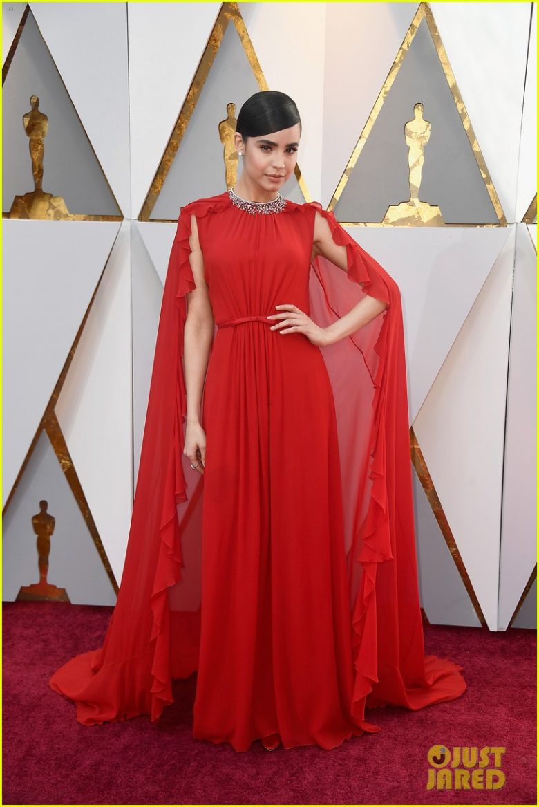 oscar 2018, tapete vermelho, celebridades, premiação, moda, estilo, looks, vestido longo, 2018 oscars, red carpet, celebrities, award season, fashion, style, gowns, outfits, sofia carson