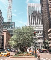 restaurantes, Nova York, NYC, viagem, dica de viagem, travel tip, restaurant, New York, New York City, Park Avenue