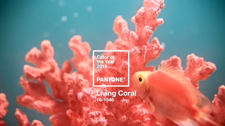 living color, pantone, pantone 2019, cor 2019, coral, tom de laranja, moda, estilo, tendência, shade of orange, fashion, style, trend