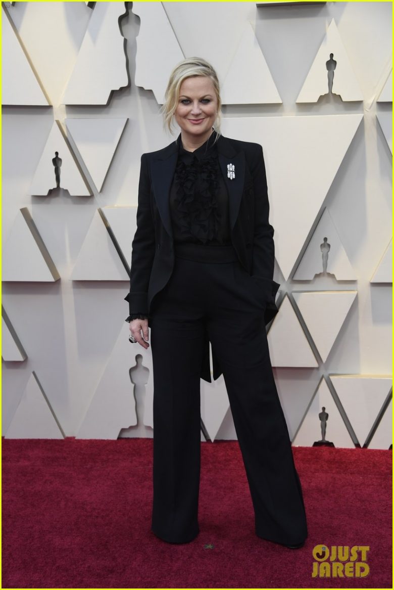 oscar 2019, tapete vermelho, celebridades, hollywood, moda, vestidos, looks, 2019 oscars, gowns, red carpet, celebrities, award season, amy poehler, alberta ferretti