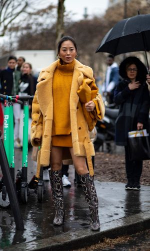 semana de moda de paris, street style, moda, estilo, looks, paris fashion week, pfw fall 2019, fashion, style, outfits